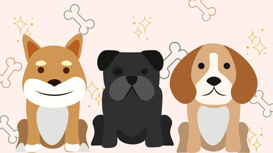 The Benefits of a Dog for Your Family
