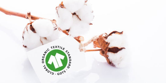 Why We Choose The GOTS Certification