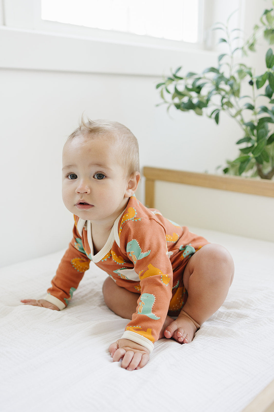 GOTS Certified Organic Cotton Long Sleeve Bodysuit - Dino