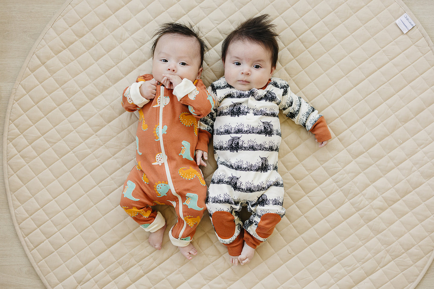 GOTS Certified Organic Cotton Zippy - Dino