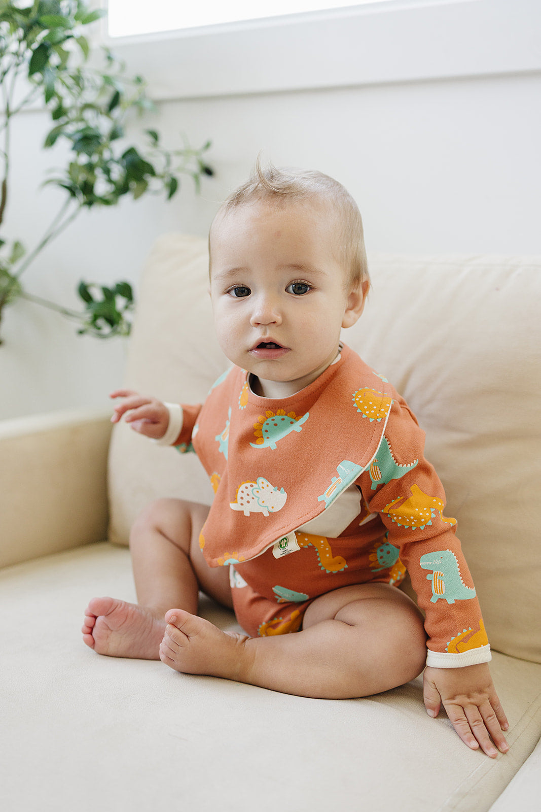 GOTS Certified Organic Cotton Bib - Dino